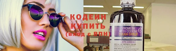 мдпв Богородск