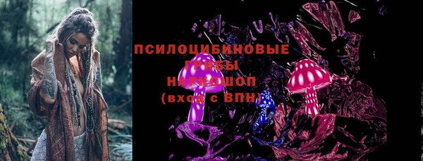 мдпв Богородск