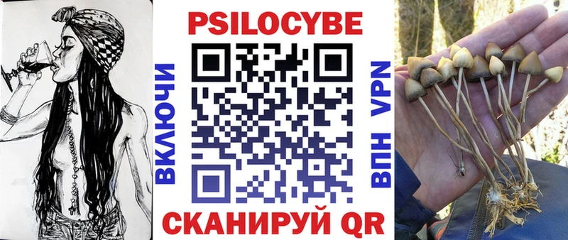 закладки  Дорогобуж  Псилоцибиновые грибы Psilocybine cubensis 