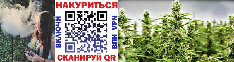 МАРИХУАНА гибрид  наркошоп  Дорогобуж 